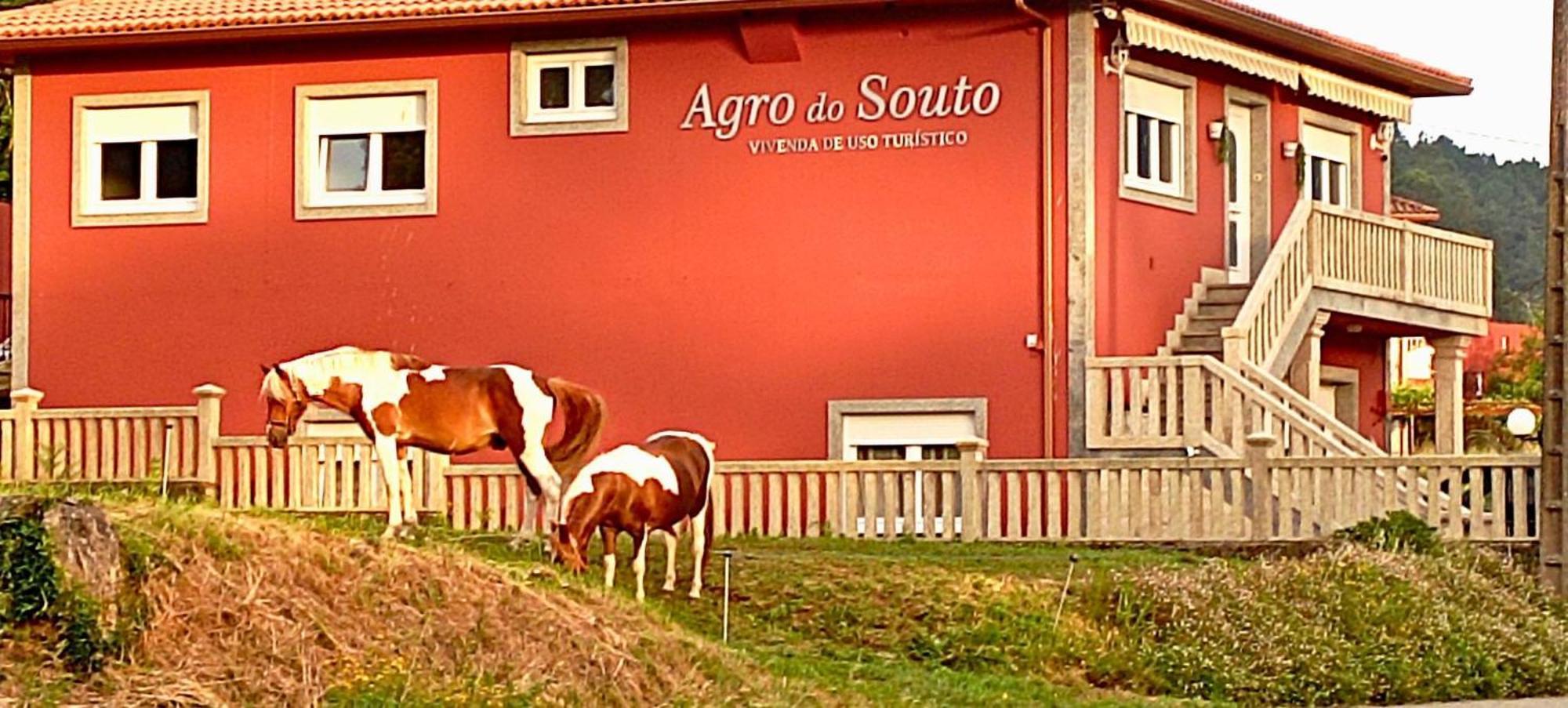 Agro Do Souto, Noia - Villa Completa Exterior foto